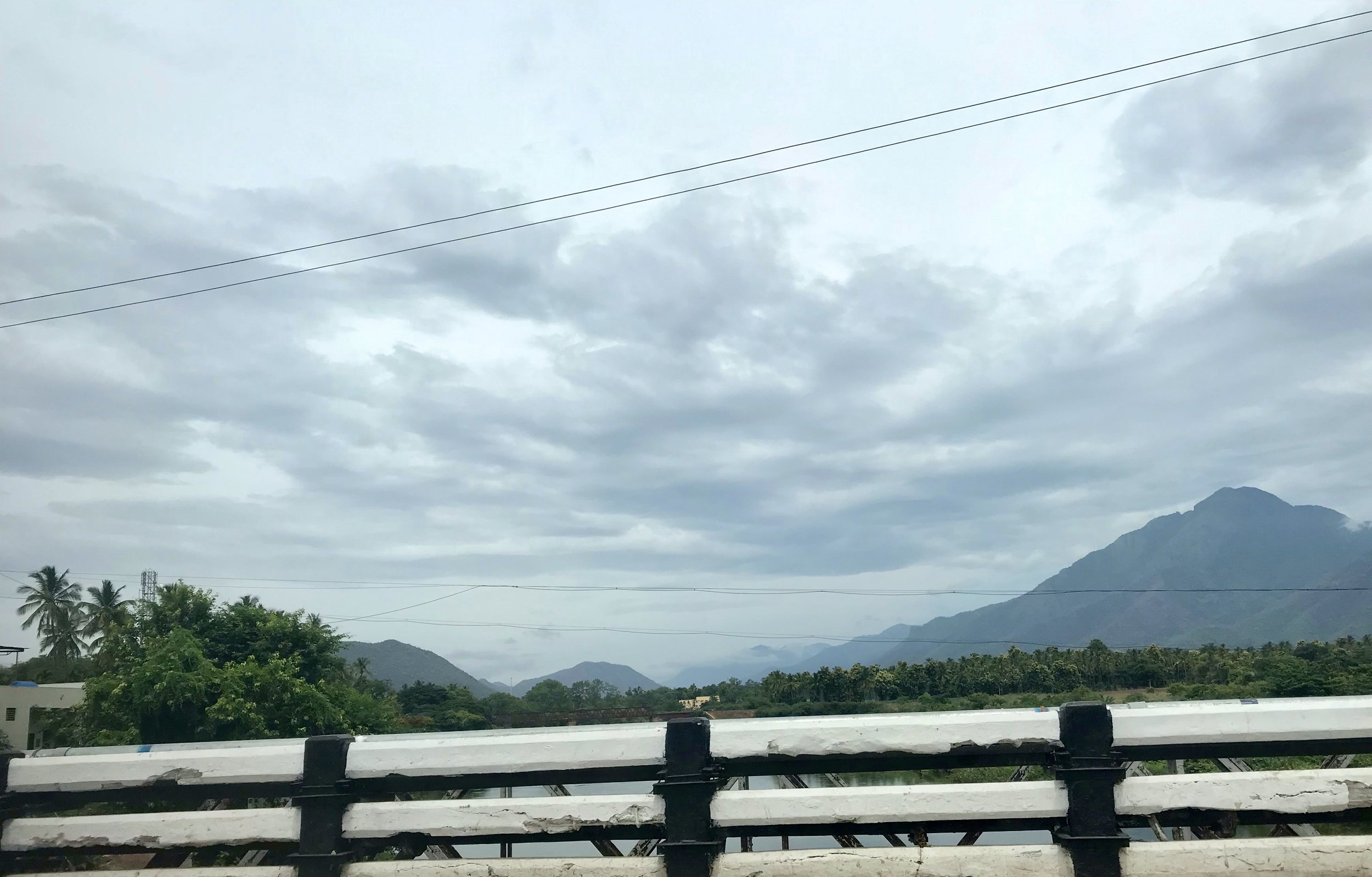 IMG_0868.jpeg