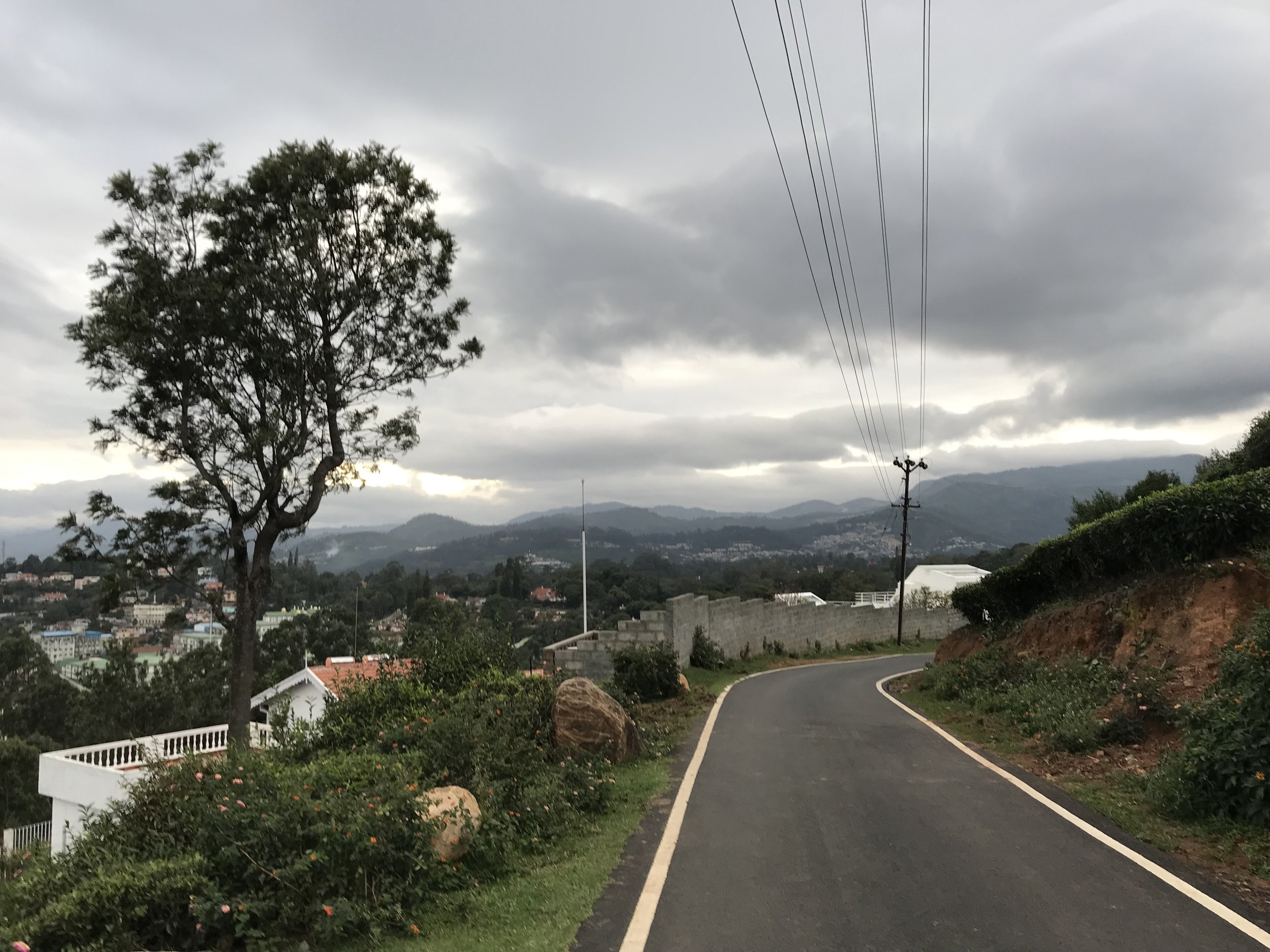 IMG_0496.jpeg